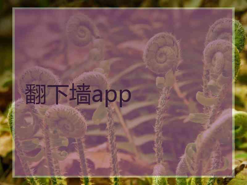 翻下墙app