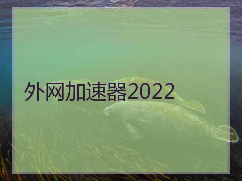 外网加速器2022