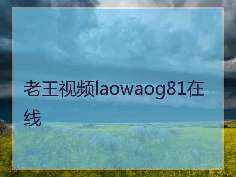 老王视频laowaog81在线