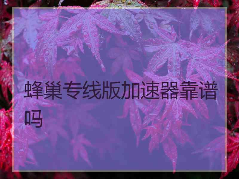 蜂巢专线版加速器靠谱吗