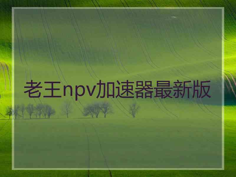 老王npv加速器最新版