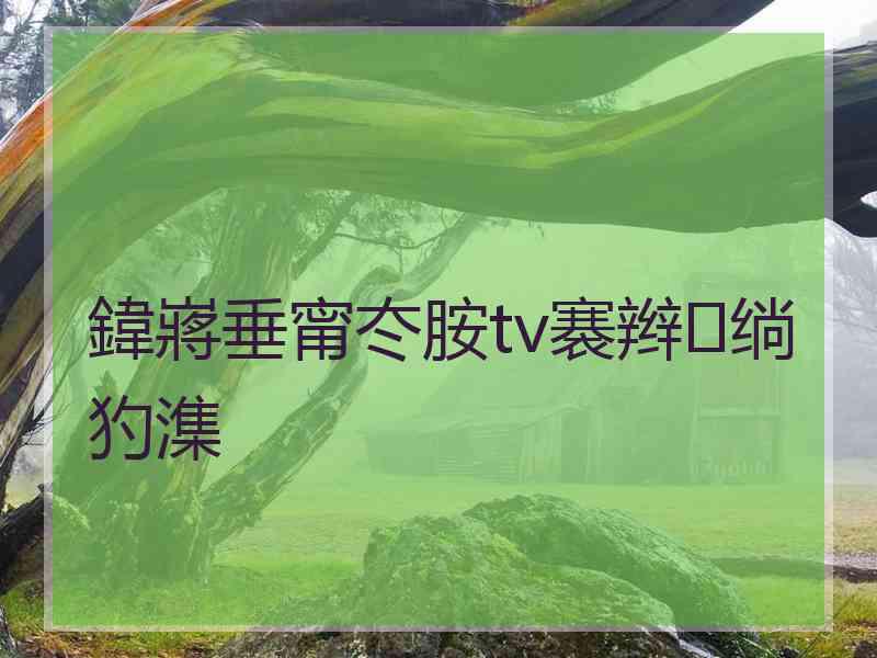 鍏嶈垂甯冭胺tv褰辫绱犳潗