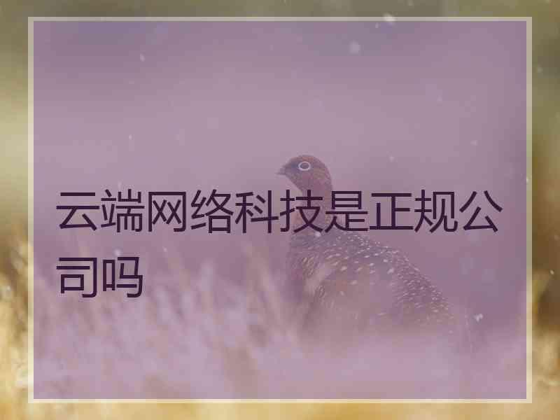 云端网络科技是正规公司吗