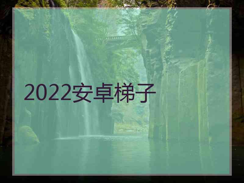 2022安卓梯子