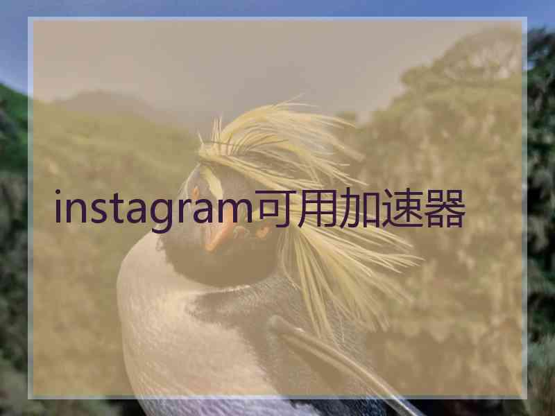 instagram可用加速器