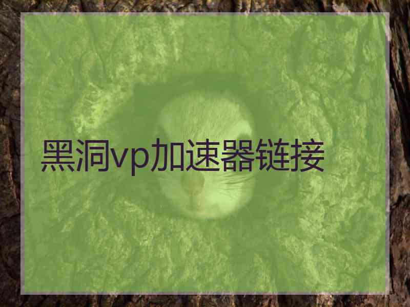 黑洞vp加速器链接