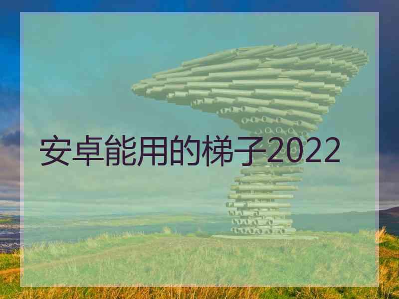 安卓能用的梯子2022