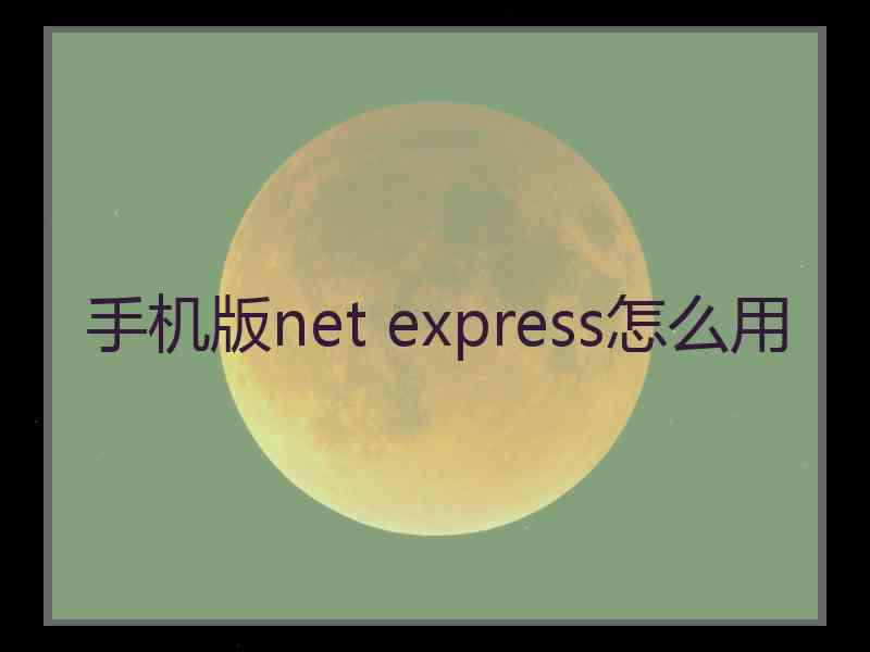 手机版net express怎么用