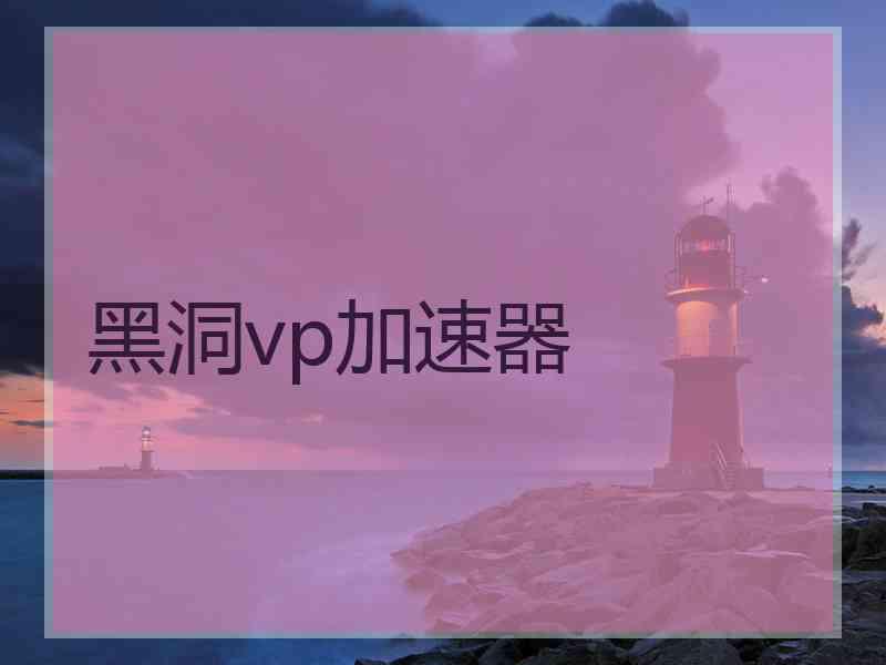 黑洞vp加速器