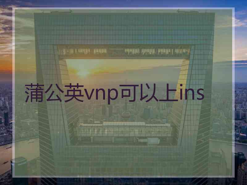 蒲公英vnp可以上ins