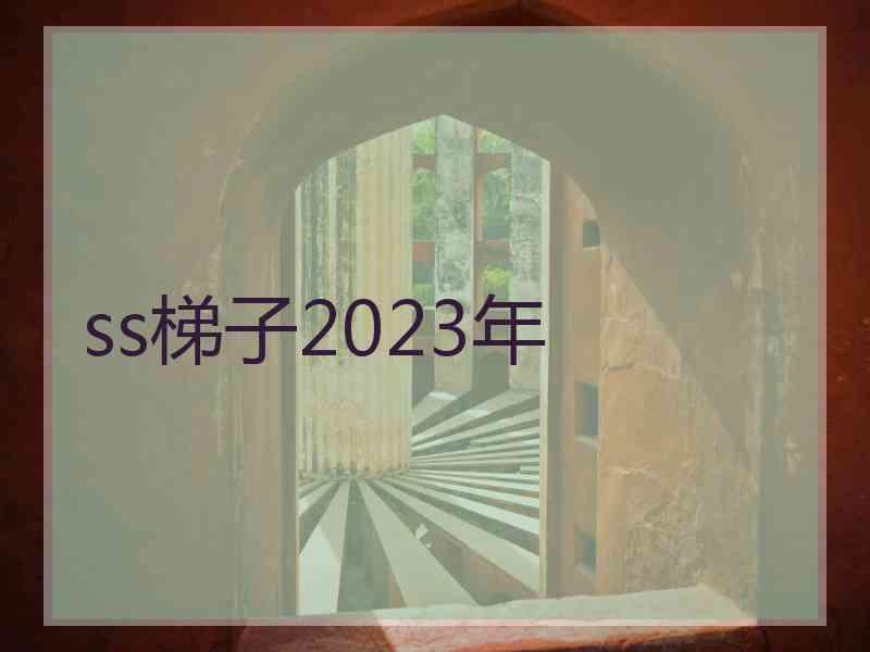 ss梯子2023年