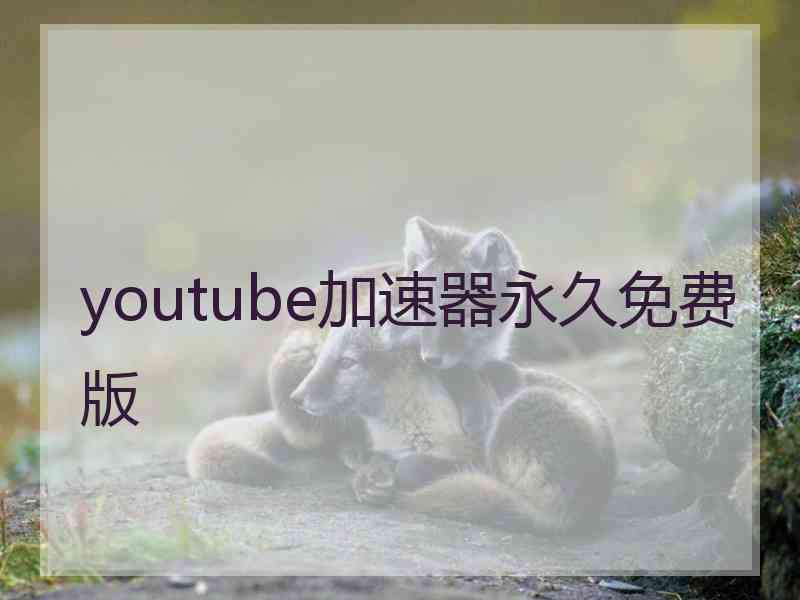 youtube加速器永久免费版