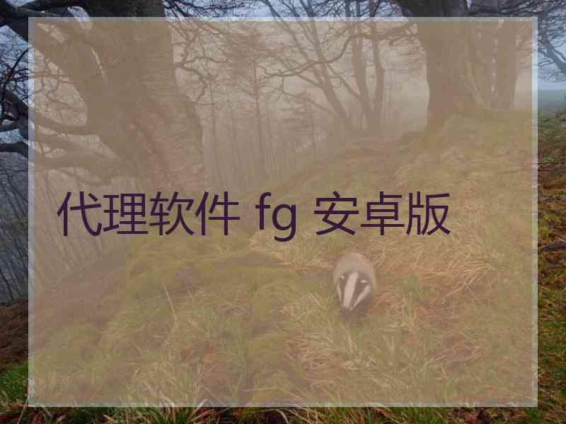 代理软件 fg 安卓版