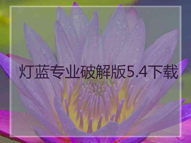 灯蓝专业破解版5.4下载