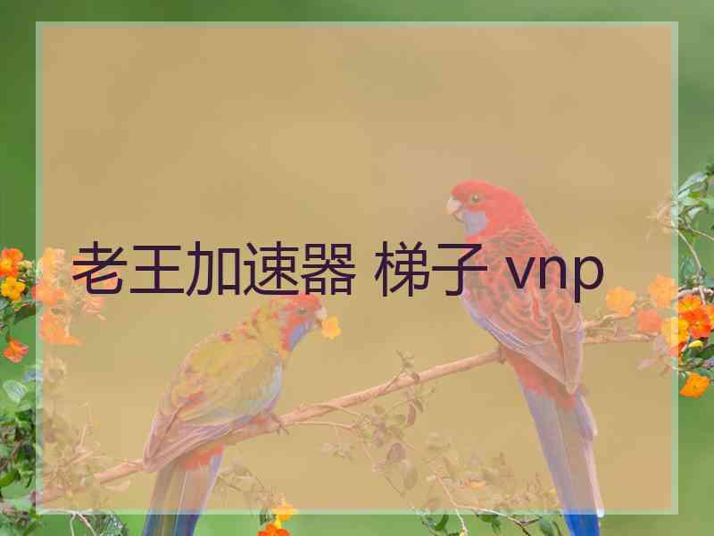 老王加速器 梯子 vnp