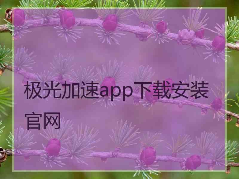 极光加速app下载安装官网