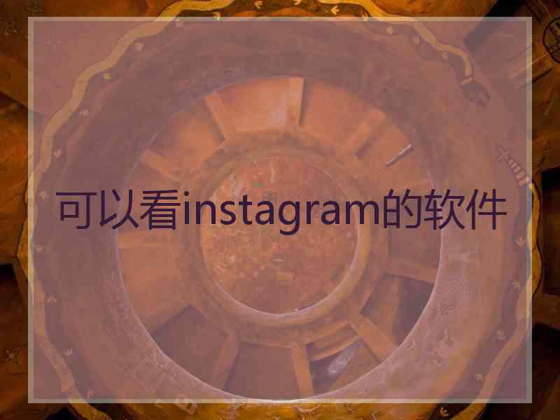 可以看instagram的软件