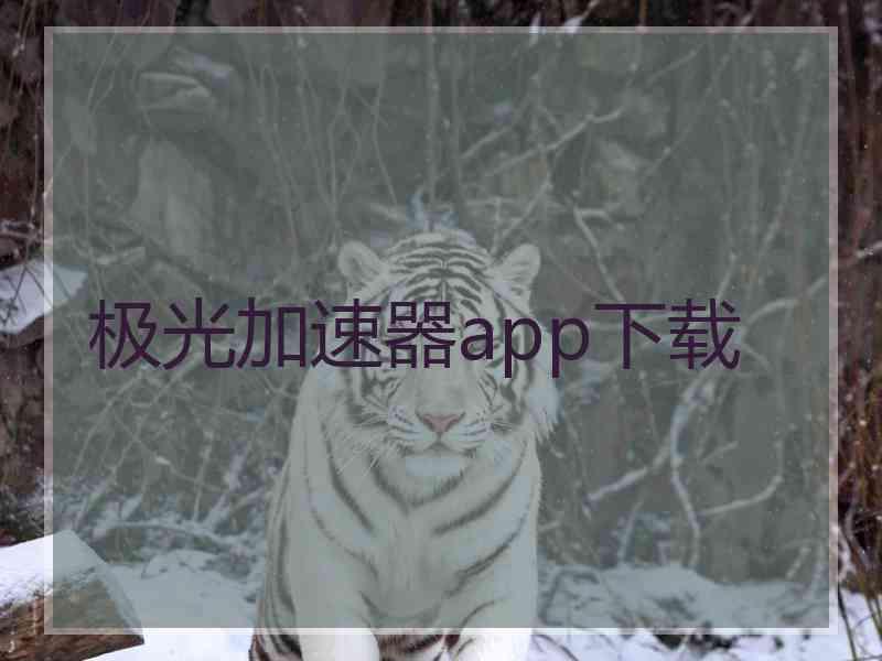 极光加速器app下载