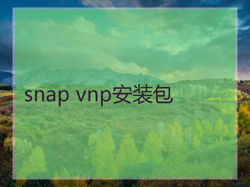 snap vnp安装包