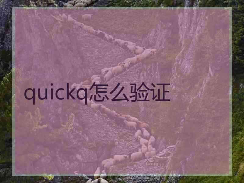 quickq怎么验证