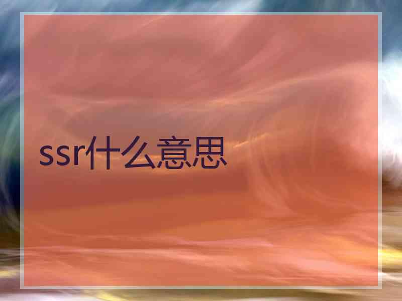 ssr什么意思