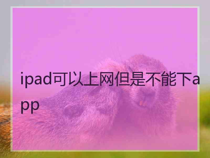 ipad可以上网但是不能下app