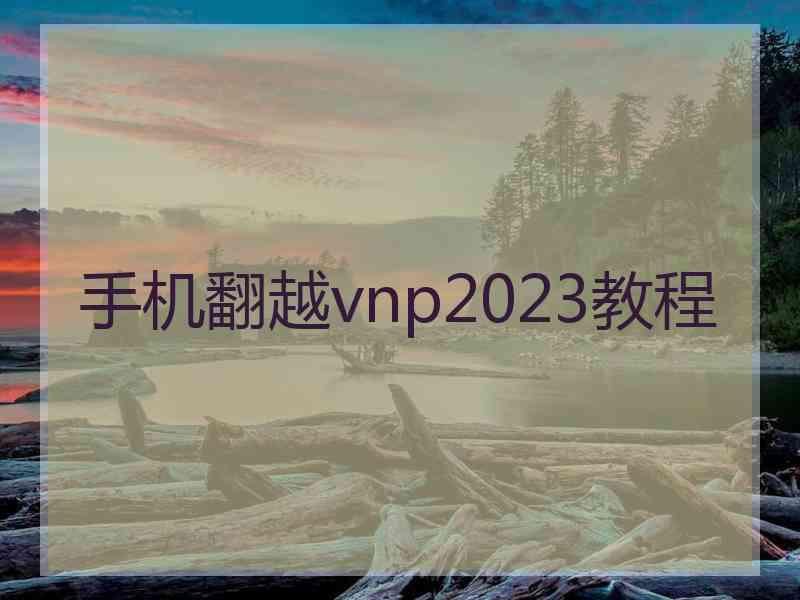 手机翻越vnp2023教程