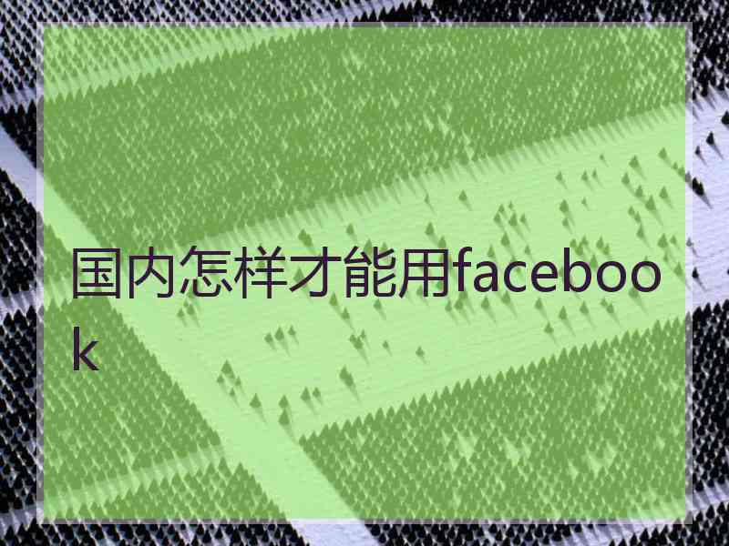 国内怎样才能用facebook