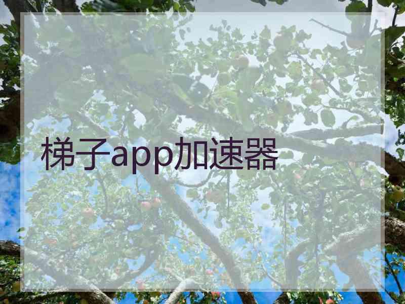 梯子app加速器