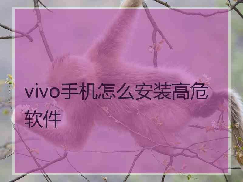 vivo手机怎么安装高危软件