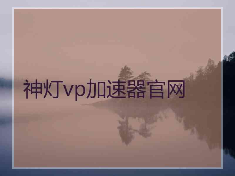 神灯vp加速器官网