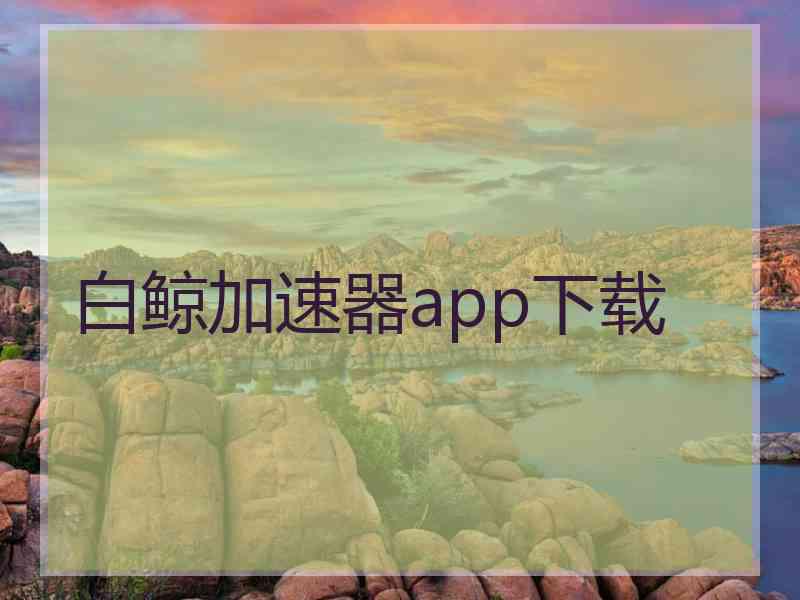 白鲸加速器app下载