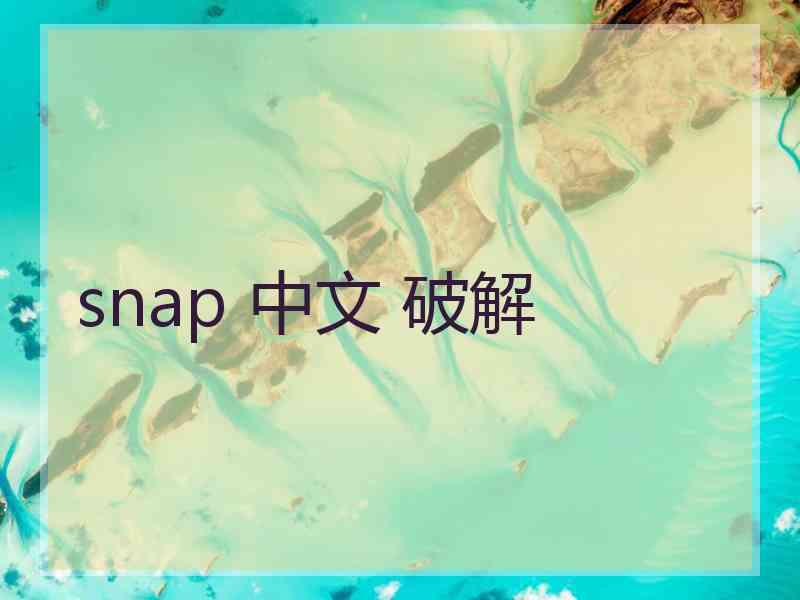 snap 中文 破解