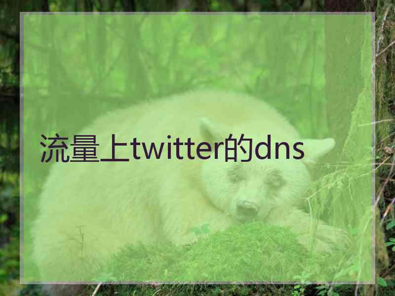 流量上twitter的dns