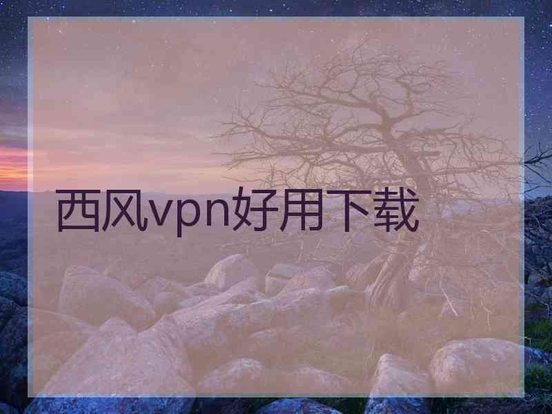 西风vpn好用下载