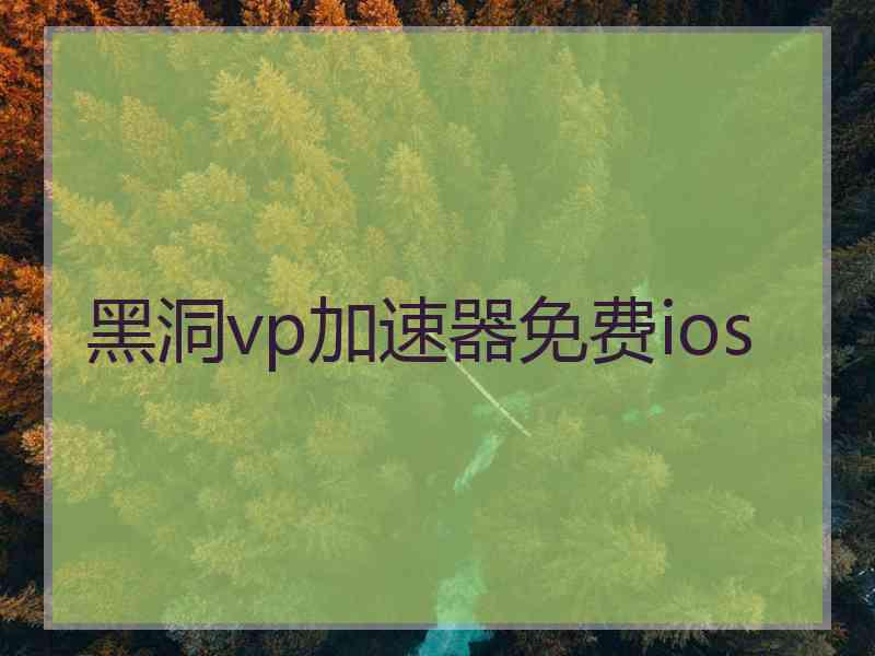 黑洞vp加速器免费ios