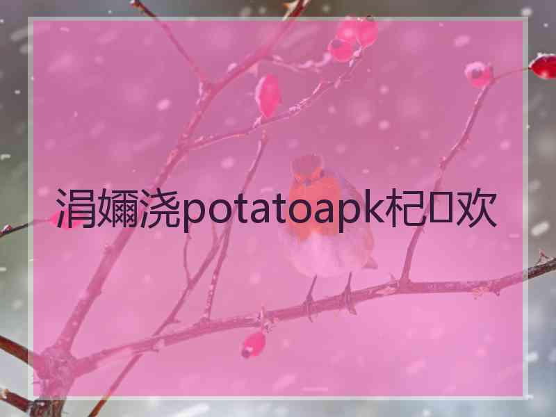 涓嬭浇potatoapk杞欢