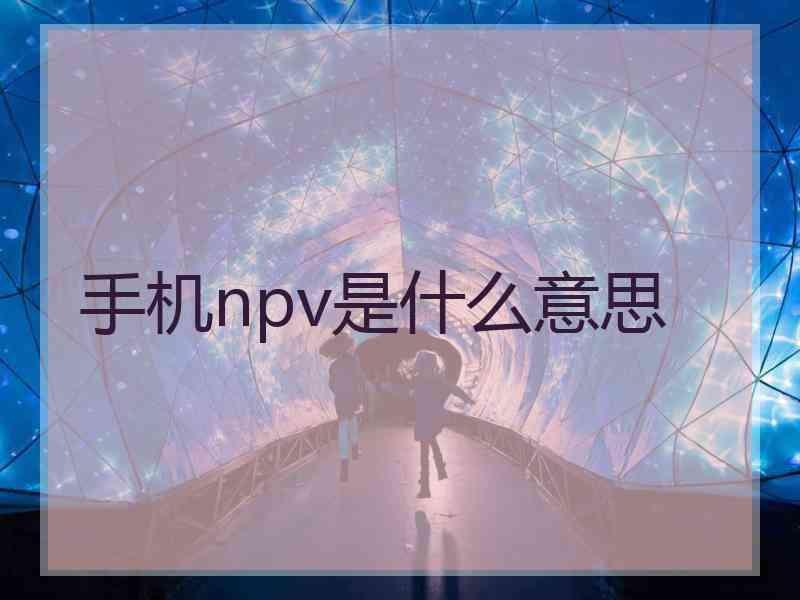 手机npv是什么意思