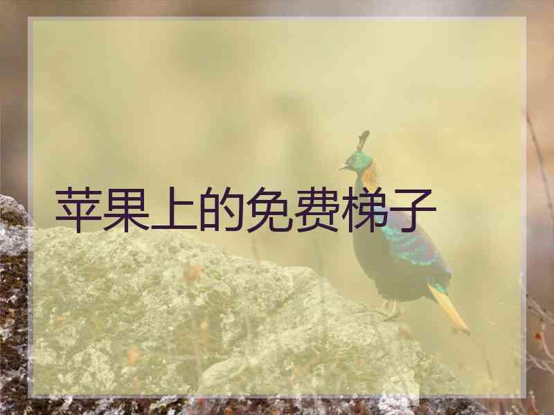 苹果上的免费梯子