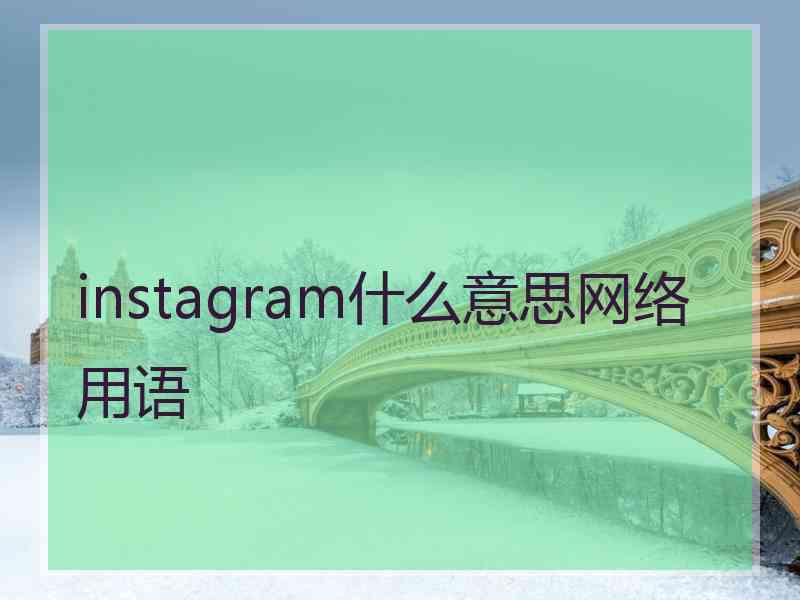 instagram什么意思网络用语