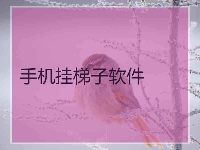 手机挂梯子软件