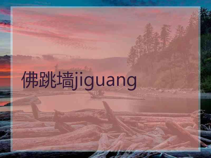 佛跳墙jiguang