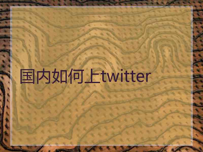 国内如何上twitter