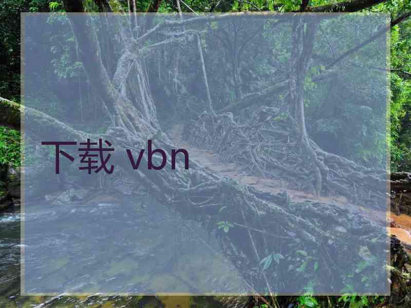 下载 vbn