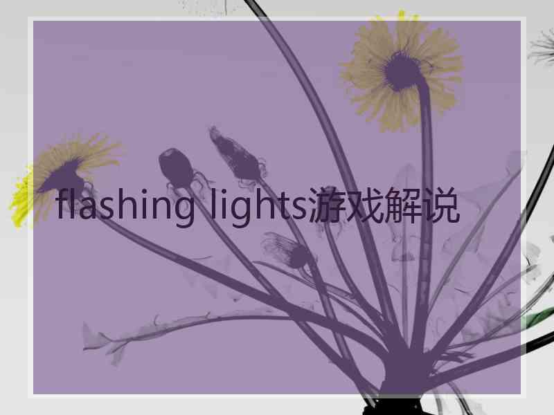 flashing lights游戏解说