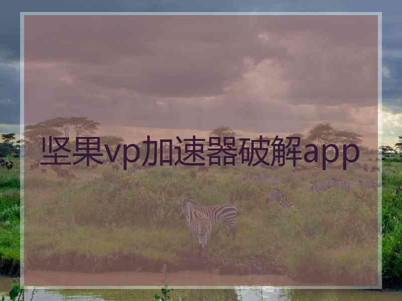 坚果vp加速器破解app