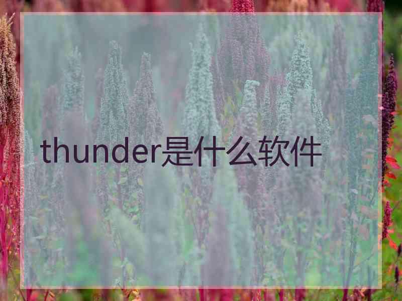 thunder是什么软件
