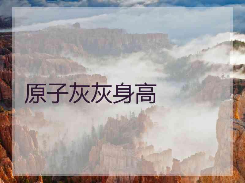 原子灰灰身高