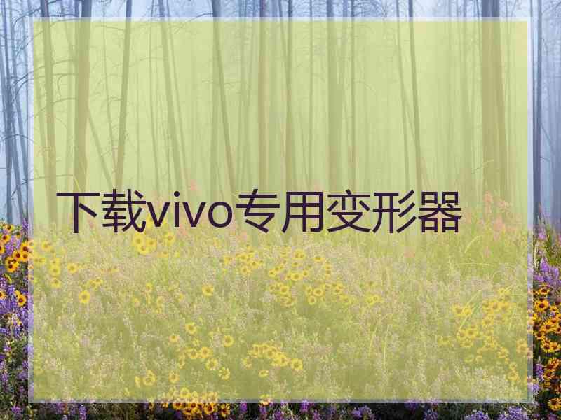 下载vivo专用变形器