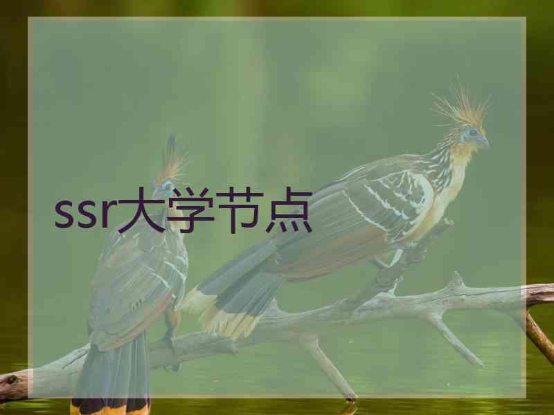 ssr大学节点